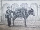 barrington 1912 donkey laden with grapes  pg. 33